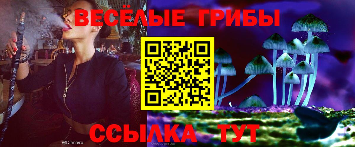 Россошь  Псилоцибиновые грибы мицелий  Вход с VPN 